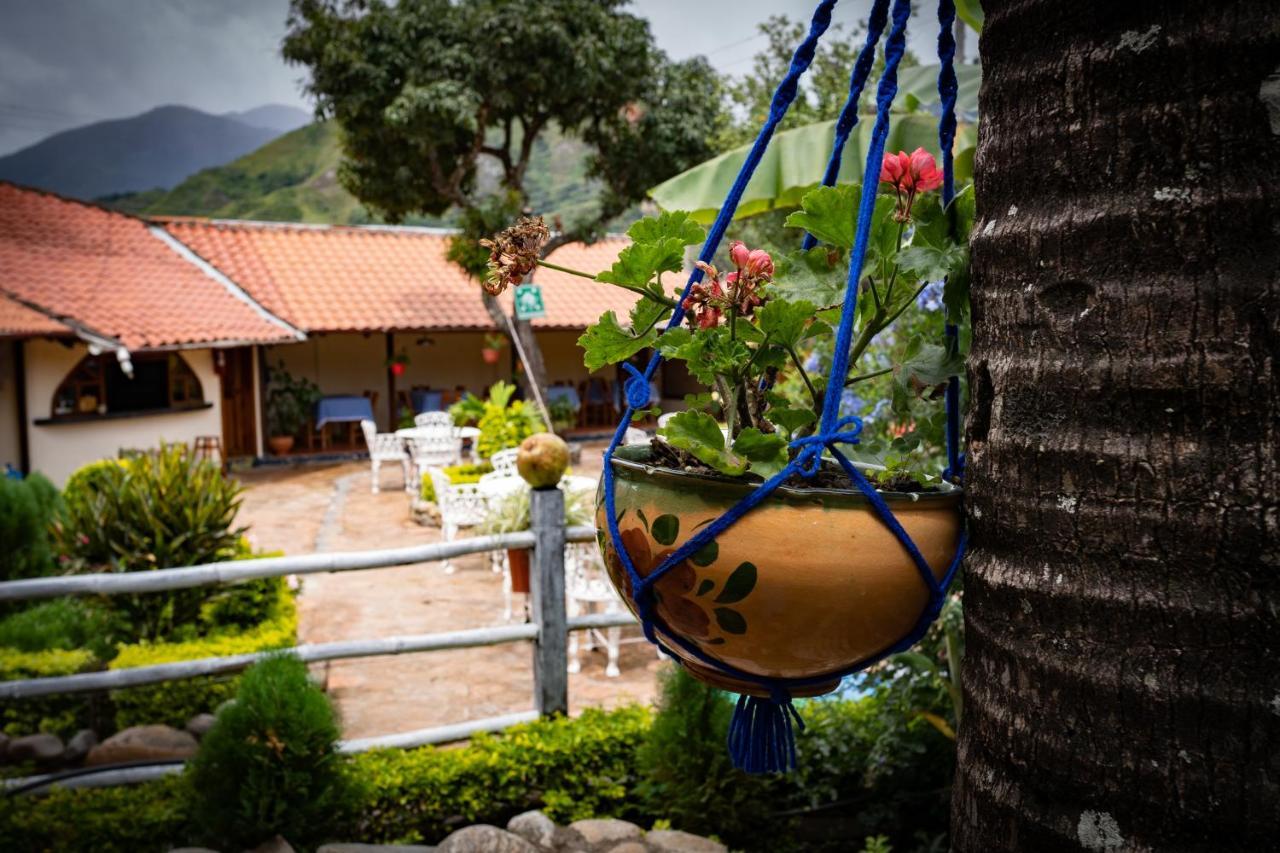 Hostal Jardin Escondido Vilcabamba Exterior foto